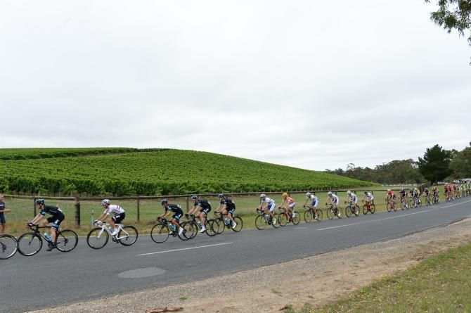 The riders passed through the South Australia vineyards