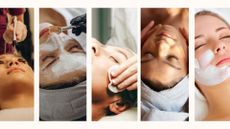 evolution of the facial collage