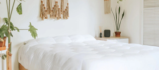 A white down-alternative comforter spread out on a bed in a brightly lit room