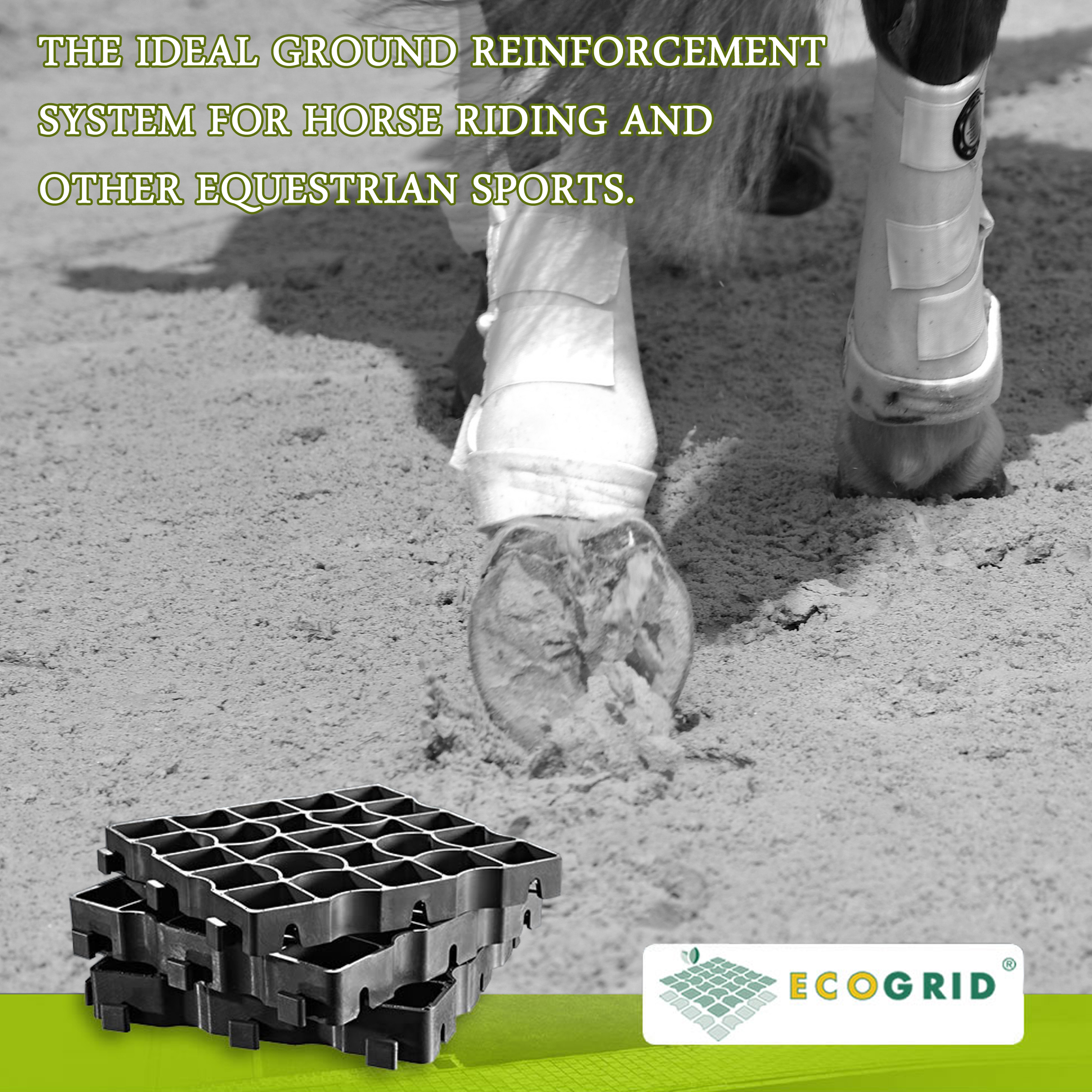 Ecogrid logo