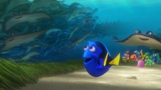 Finding Dory