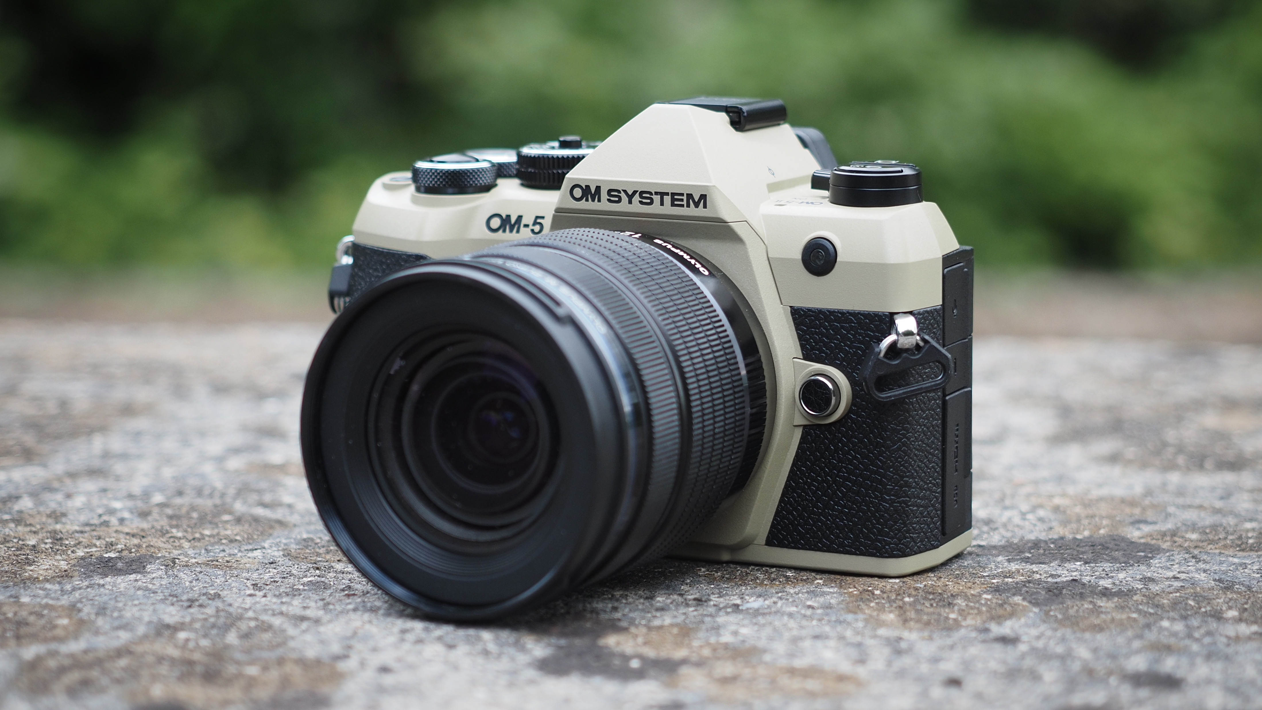 OM System OM-5 Mark II, with the Olympus M.Zuiko 12-45mm f/4 Pro lens, outdoors in woodland