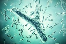 The Y chromosome may be in trouble.