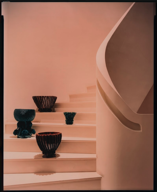 Planters on pink stairs