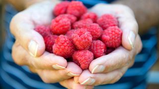 Person holding raspberries