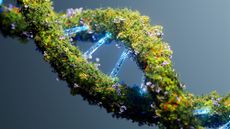 An illustration of a strand of DNA composed of foliage and electronics