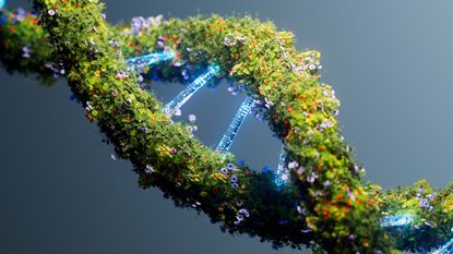 An illustration of a strand of DNA composed of foliage and electronics