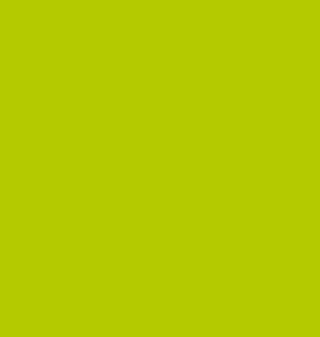 Lime Green paint swatch