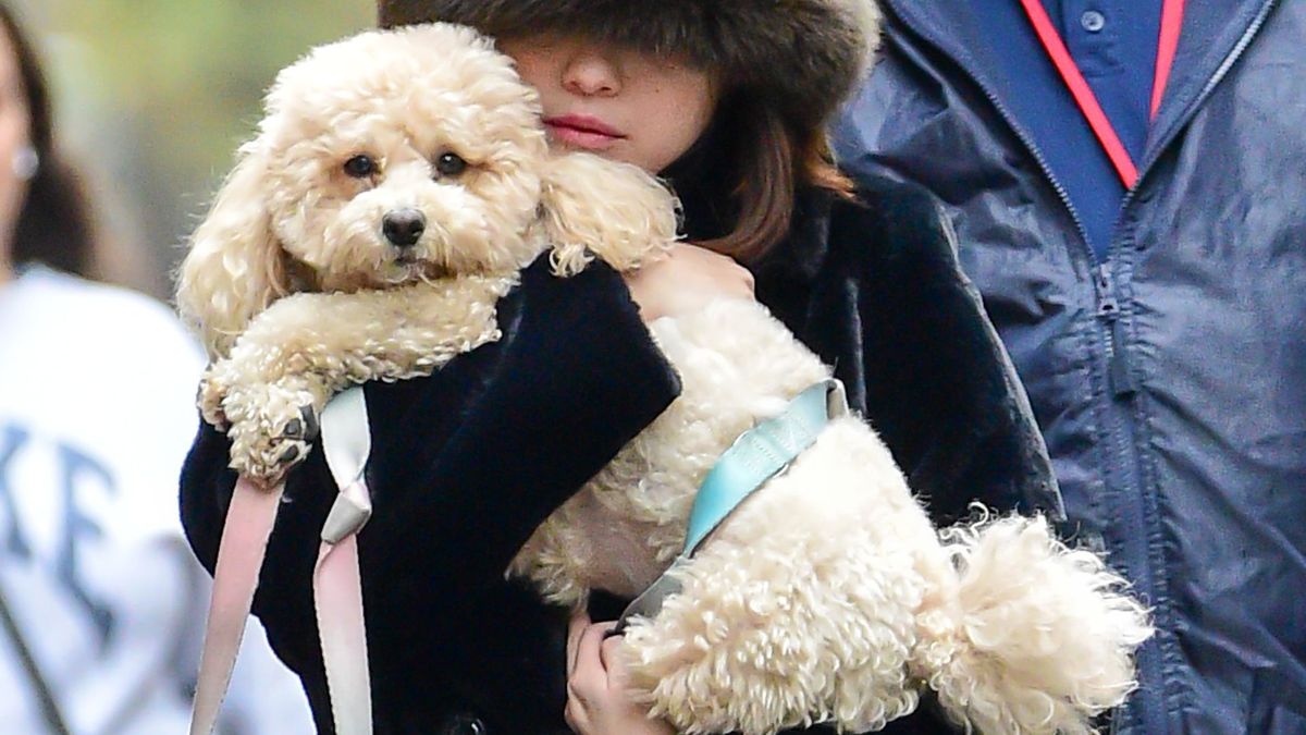 32 adorable pics of celebrities and their pets PetsRadar