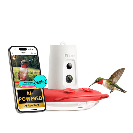 Birdfy Hummingbird Feeder with Camera
