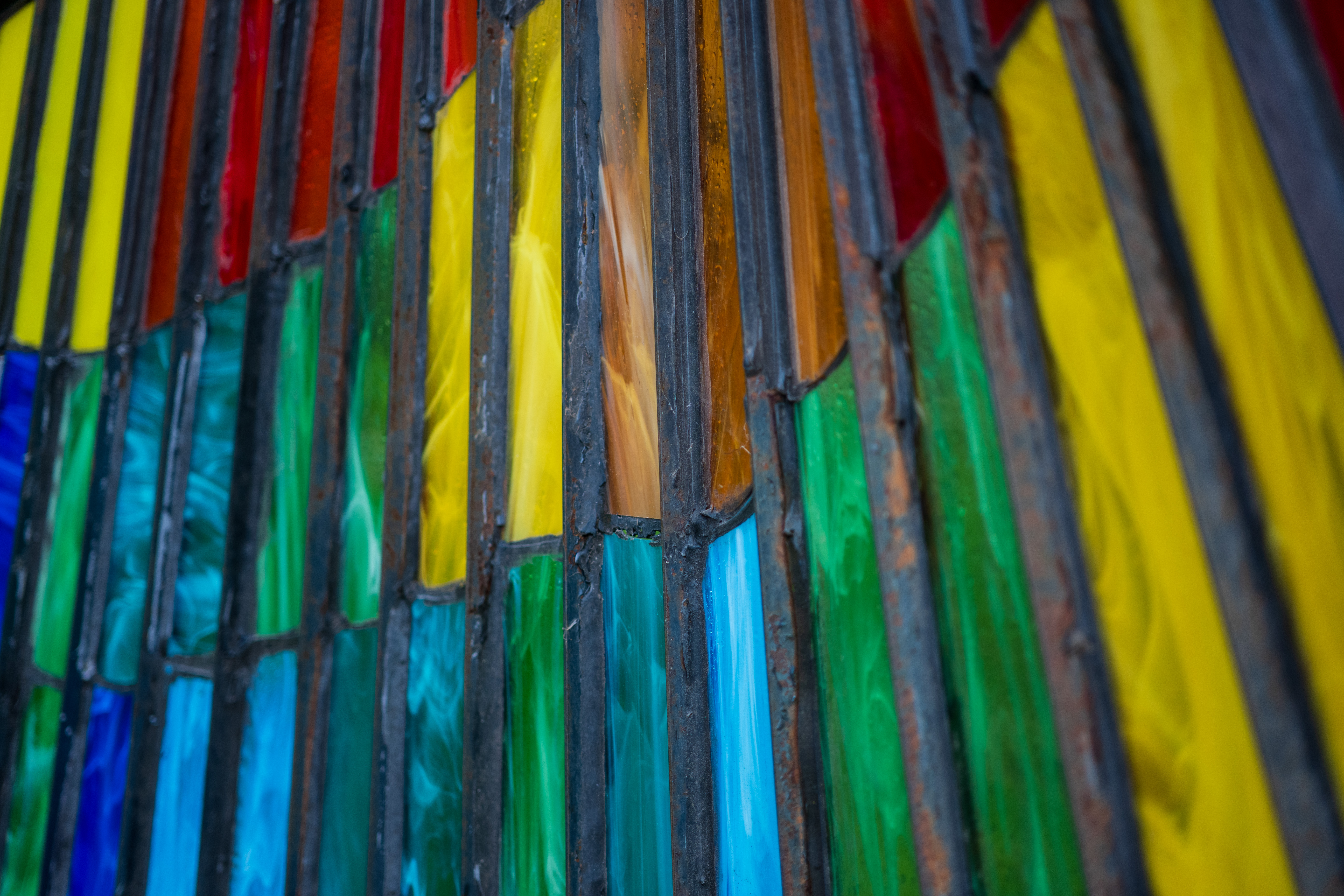 Nikon Z DX MC 35mm f/1.7 example shot