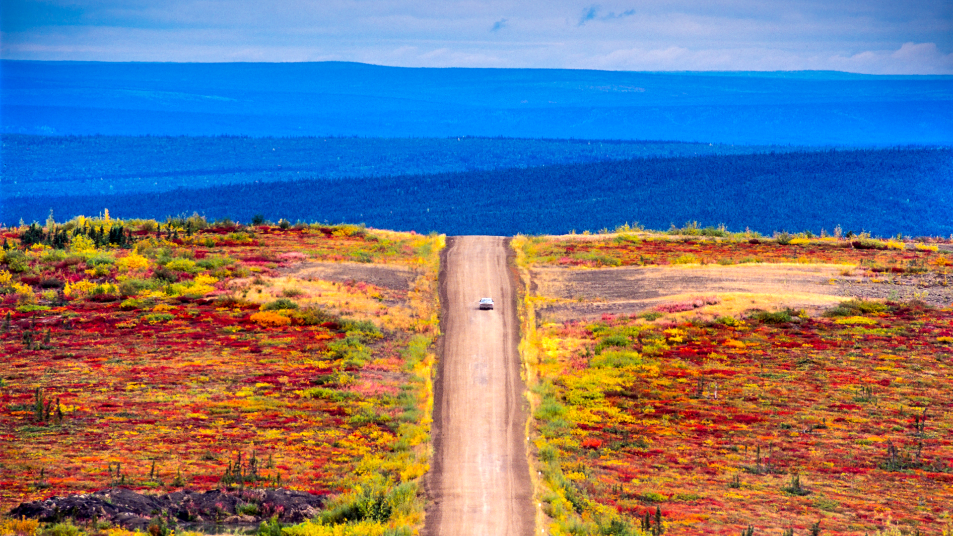 Car driving in the wilderness through the colorful Tundra on the Dempster highway in Autumn - Yukon, Canada