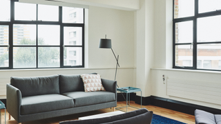 Living room with natural light