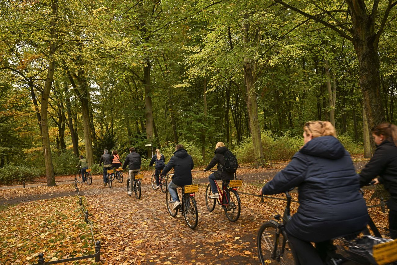 A group of people cycle through a woodland with leaves on the ground