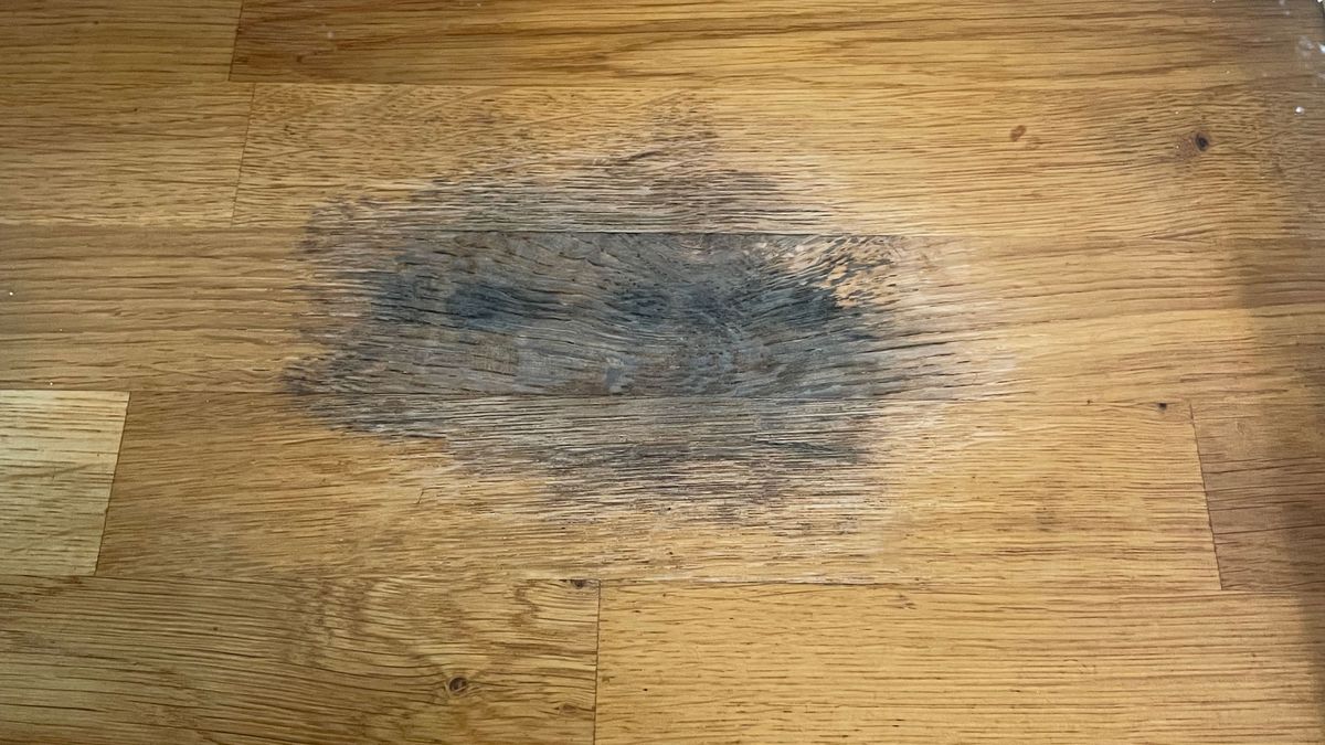 How to get water marks out of wood — our verdict after testing six