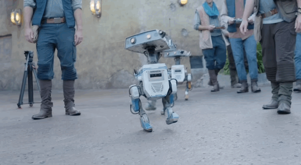 A Star Wars BDX Droid robot walking around Disneyland.