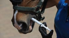 Worming2.jpg
