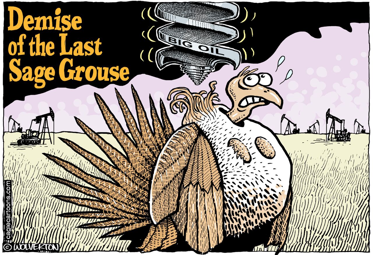 U.S. Conservation oil drilling sage grouse