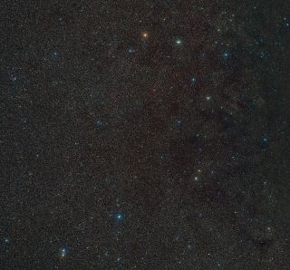 an image of a patch of space with hundreds of distant stars