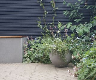 A contemporary horizontal slatted fence painted in a dark blue stain. Potted plants and flower beds in front