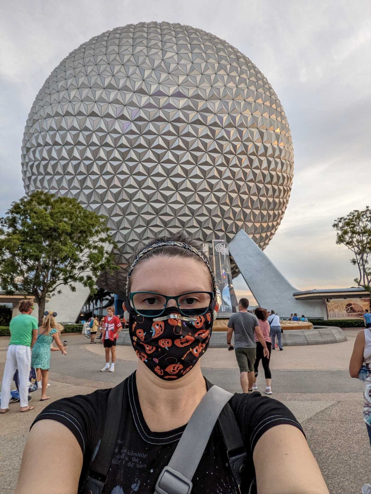 Pixel 6 Camera Samples Magic Eraser Before