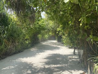 A sandy, shaded pathway across the island at Atmosphere Kanifushi.
