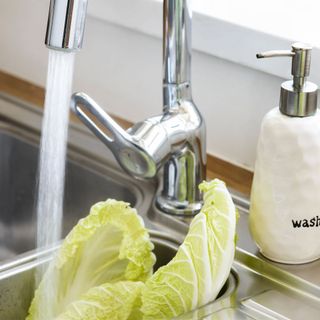 Washing lettuce leaves in kitchen sink