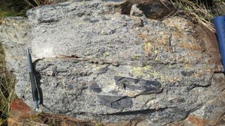 A close-up of a rock with deposits in it