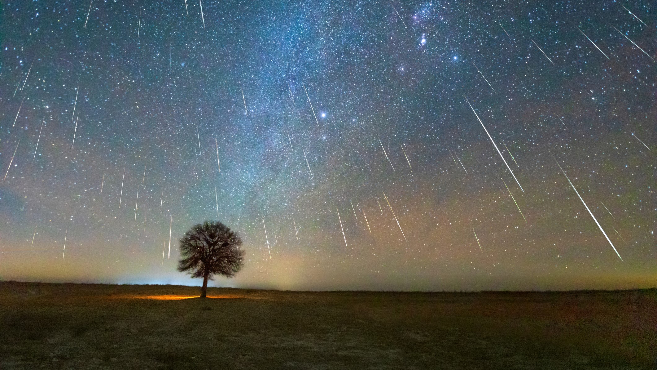 a lone tree stands beneath a sky full of stars with meteors raining down from above.