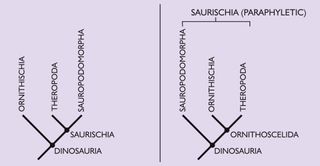 The old (left) and the new (right) dinosaur family tree.