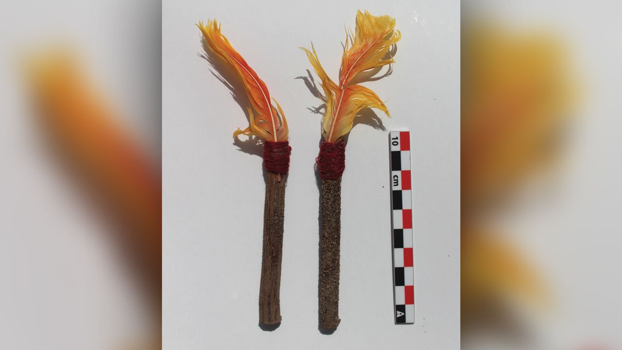 The Inca tied the feathers of tropical birds to sticks and buried them with the white llamas.