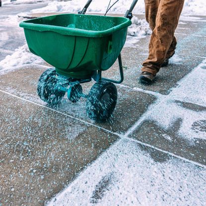 Man applying salt to sidewalk