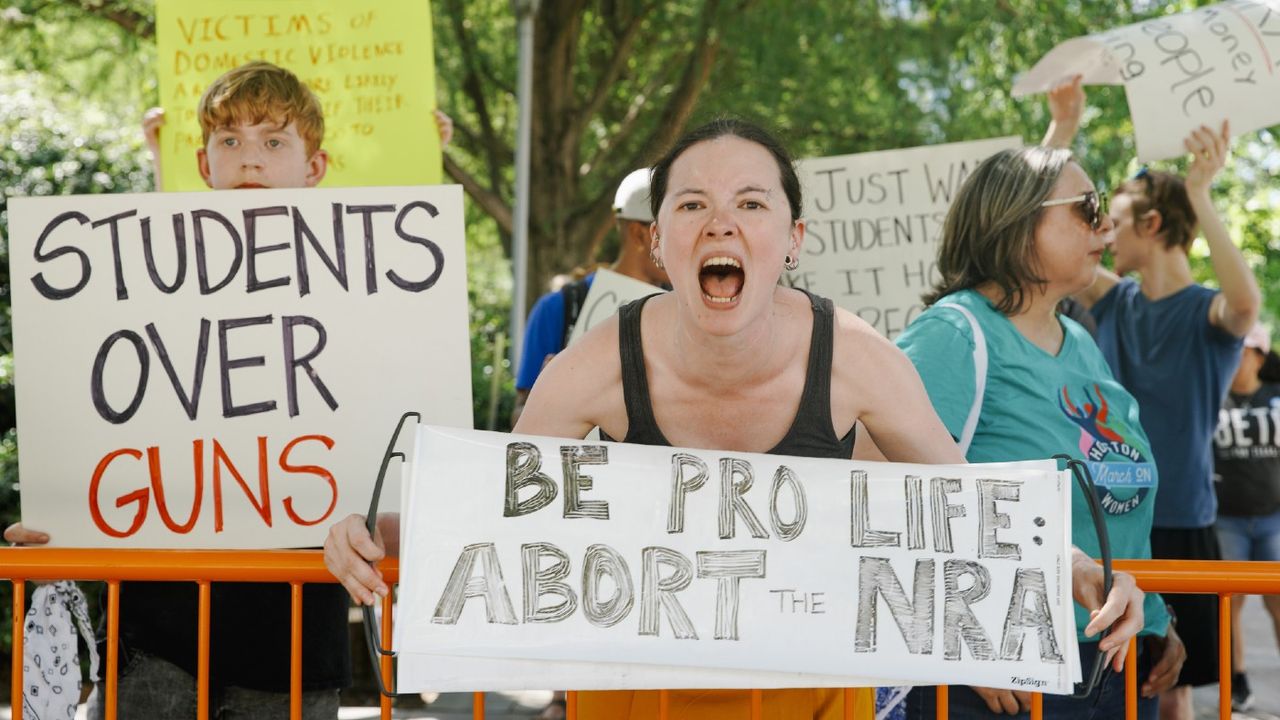 Protester holding &amp;#039;Be pro life, abort NRA&amp;#039; sign