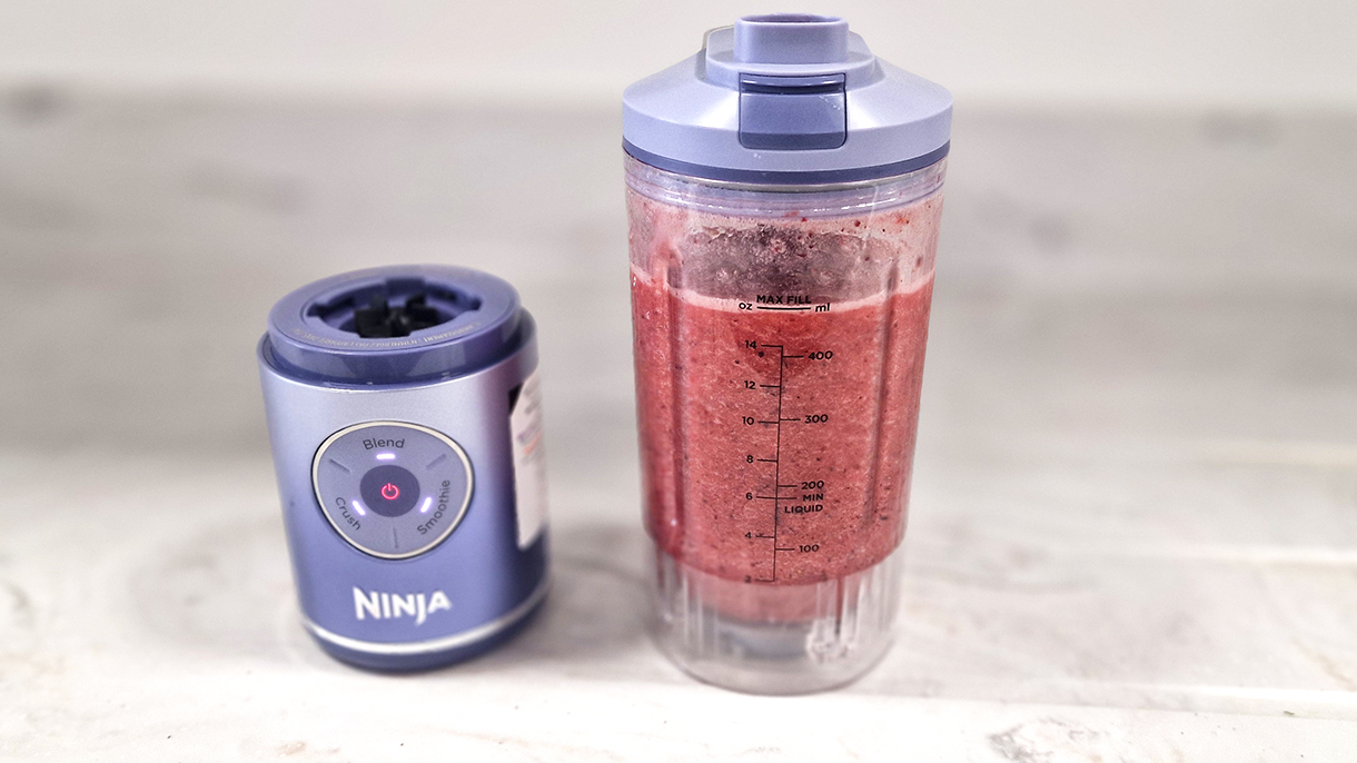 Ninja Blast Max review