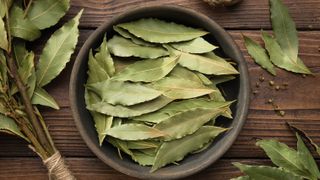 Bowl of bay leaves