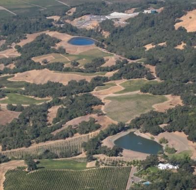 aerial view of vineyard agriculture in Sonoma County