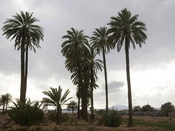 The peloton en route to Alhama de Murcia during stage 1.