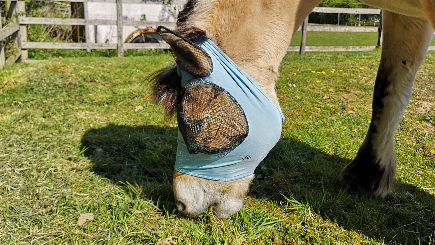 Premier Equine Comfort Tech Lycra Fly Mask from side