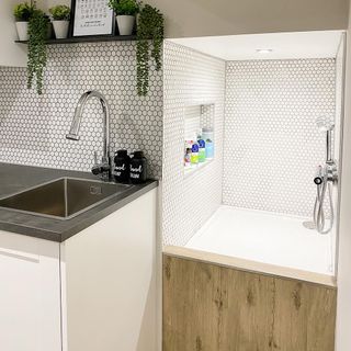 dog shower with hexagonal designed wall and wash basin