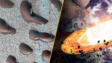 split image of kidney beans on mars and fiery impactor