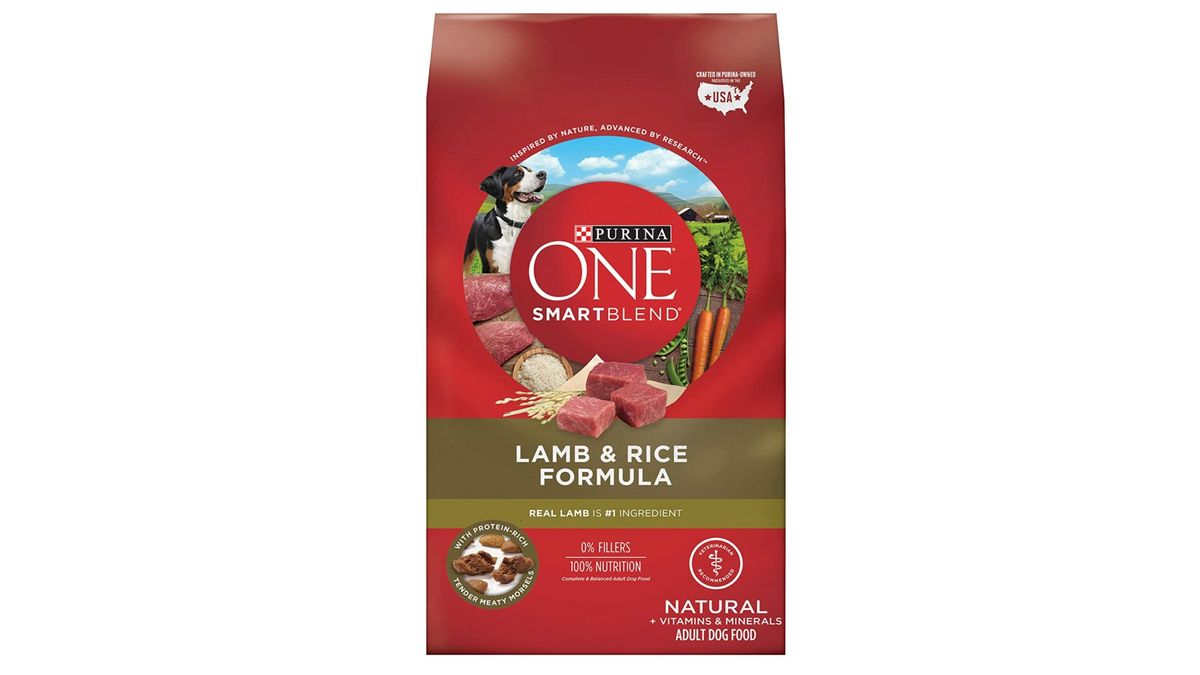Best dry dog food 2022 top kibble options to nourish your canine