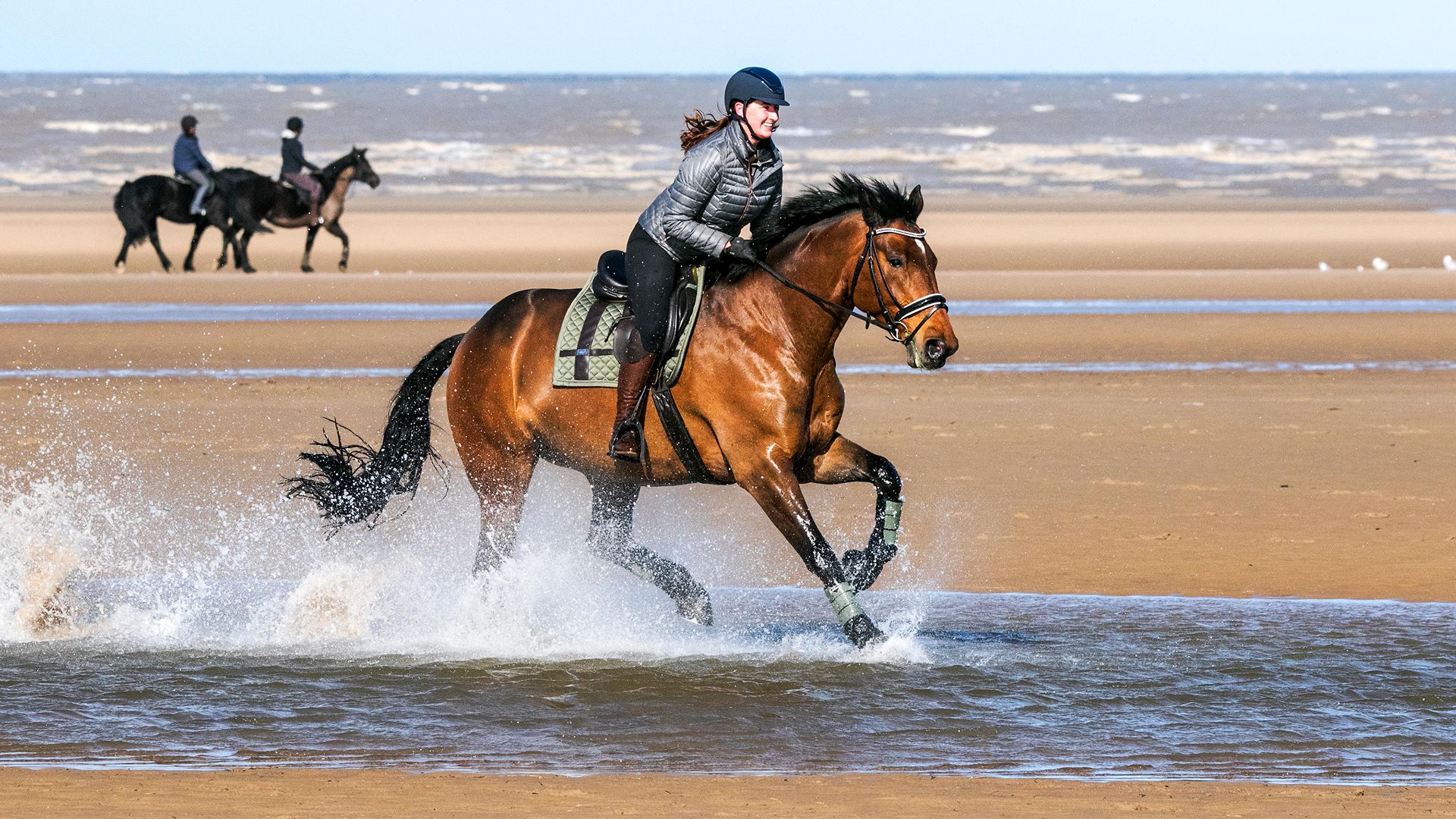 cleveland bay and rider cantering on the beach