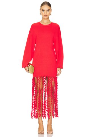 Wallis Knit Fringe Dress