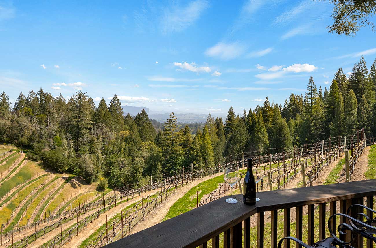 vineyard property near Healdsburg listed for sale by Sotheby's International Realty.