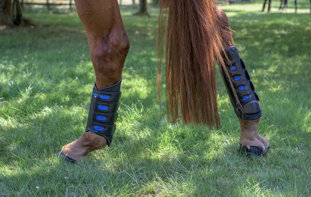 Premier Equine Original Air-Cooled Eventing Boots review