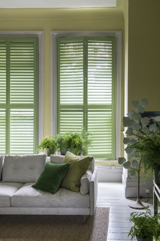 green colored shutters in liviing room with grey sofa and plants