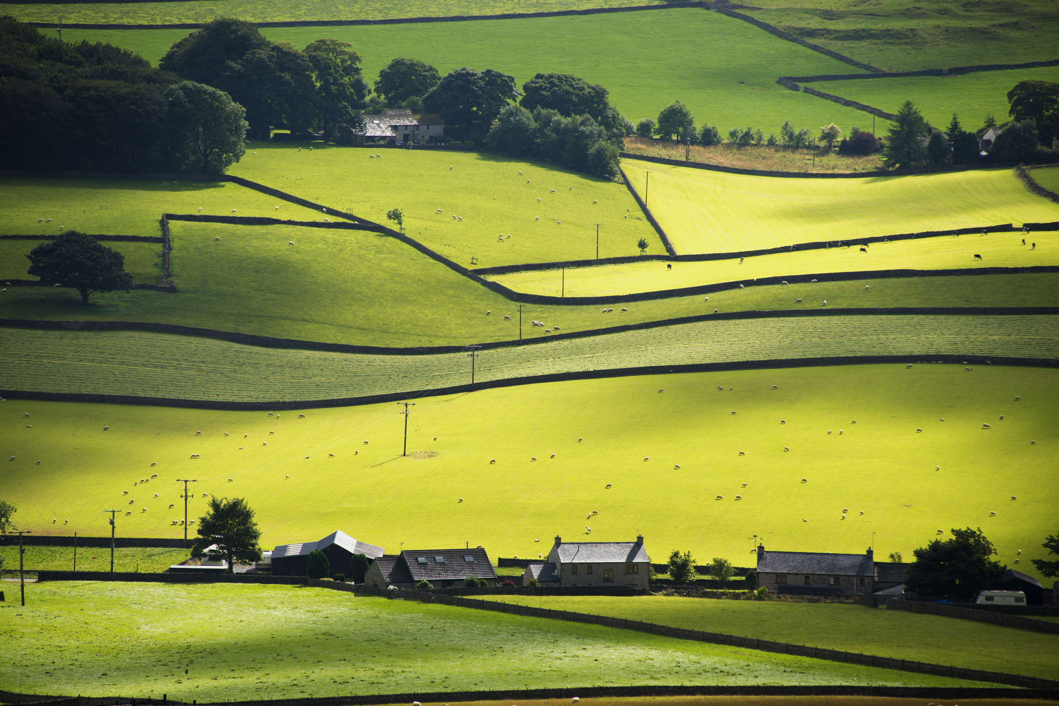 Perry Dale on the edge of the Derbyshire Dale's