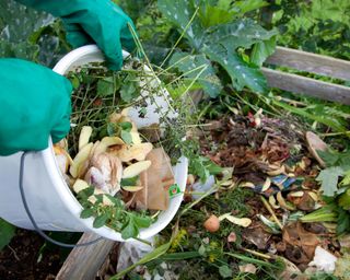 Adding kitchen peelings to a compost heap