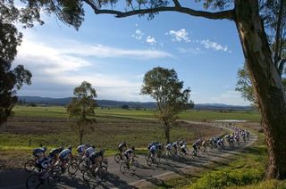 The peloton snake their way through the countryside of Gippsland on stage eight of the tour.