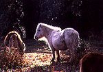 1C55FB61-9A7E-48A7-BD86-E6F775064B6E.jpg